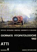 copertina 19620