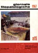 copertina 19671
