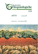 copertina 20081