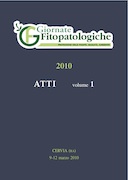copertina 20083